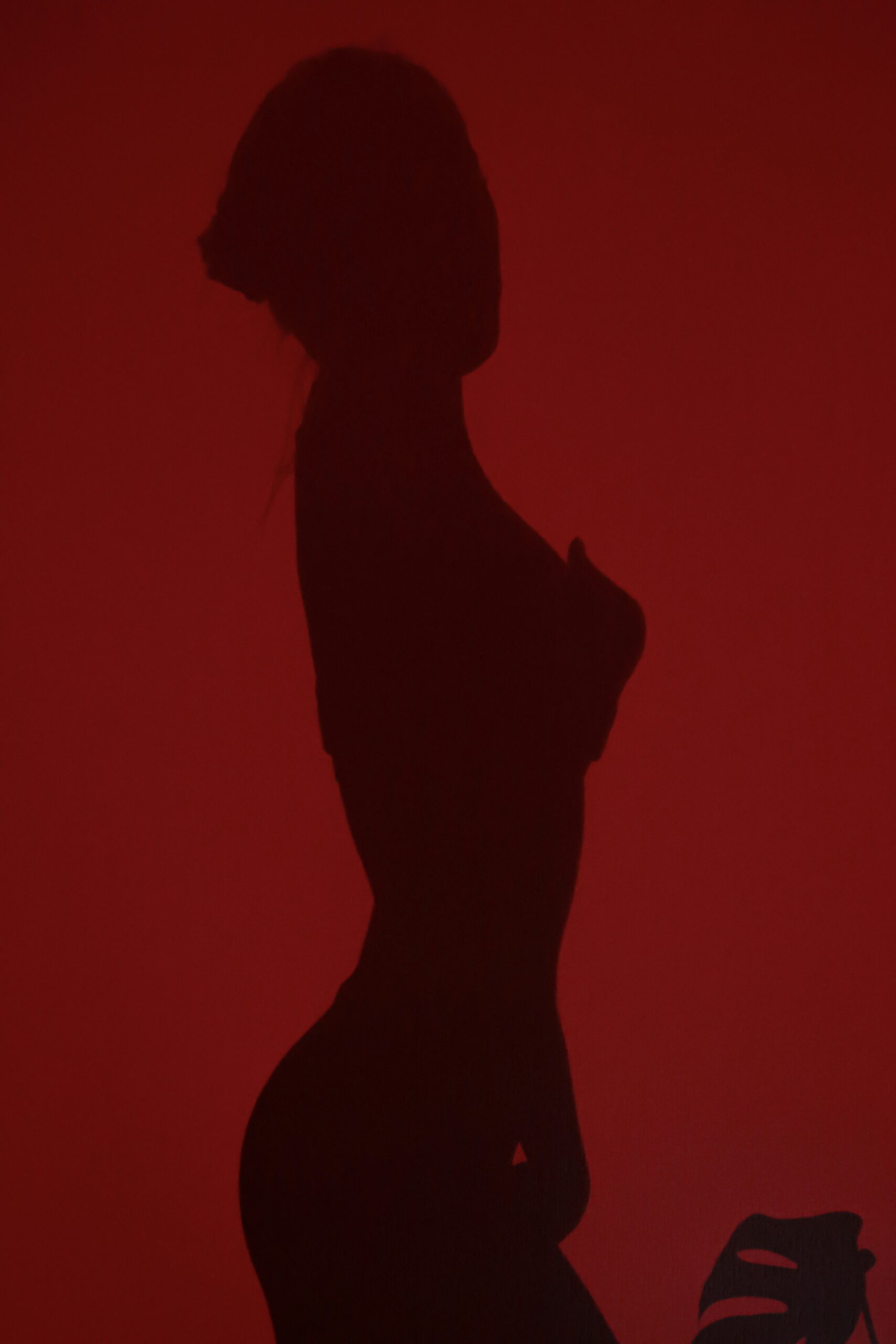 Silhouette of a woman's side profile on a dark red background